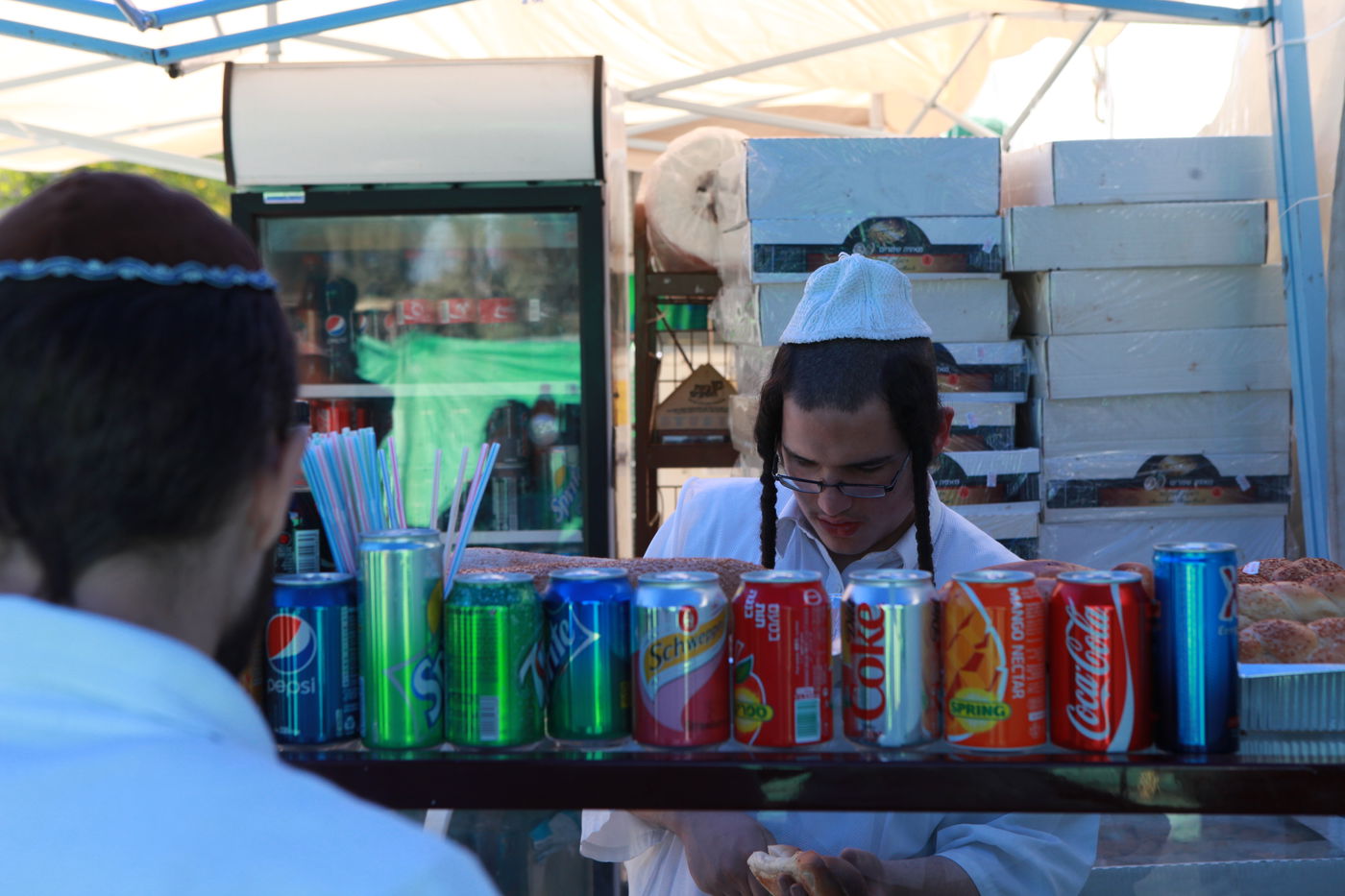 ולקחתם לכם • הירושלמים בחרו ארבעת המינים