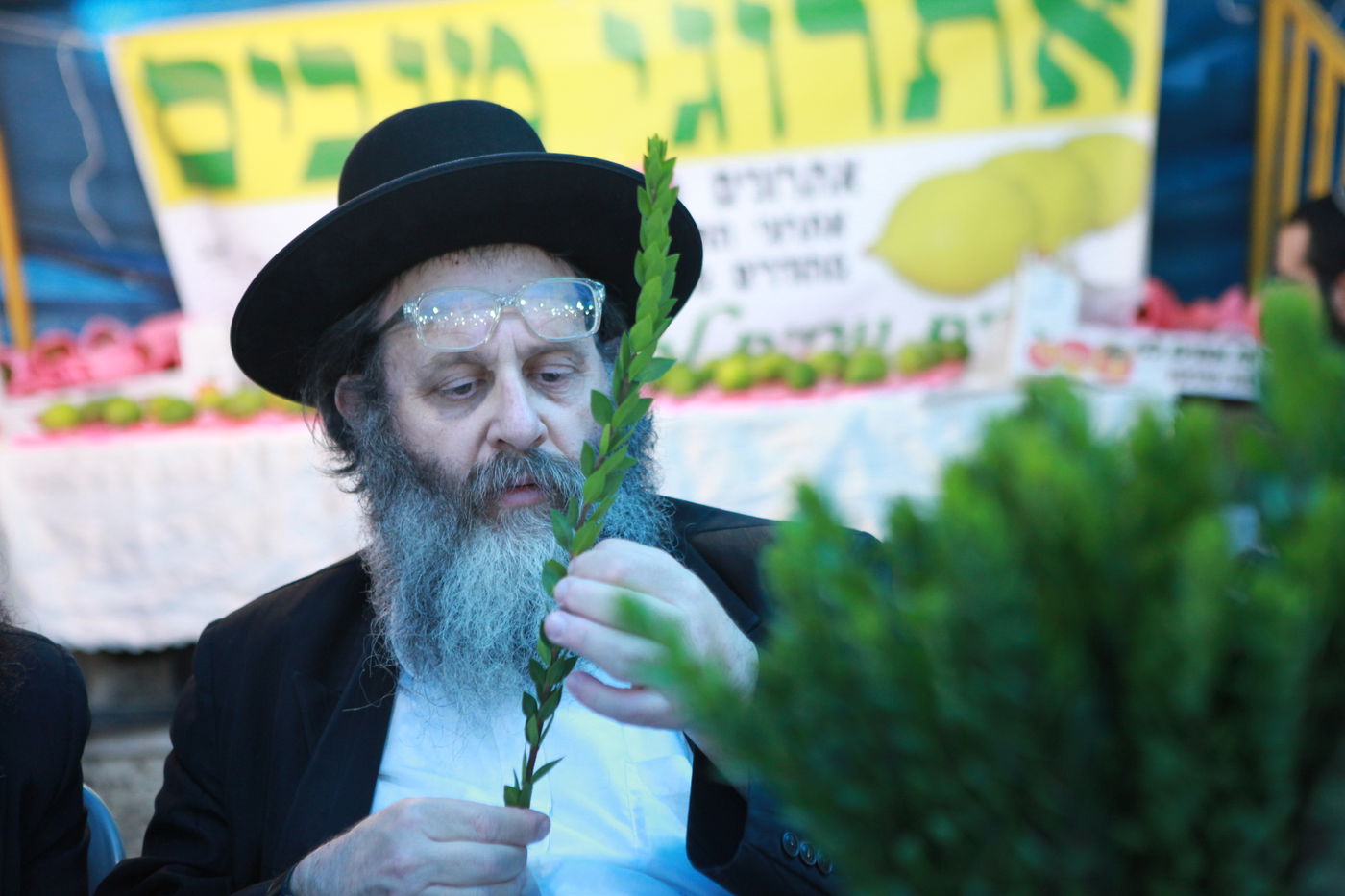 ולקחתם לכם • הירושלמים בחרו ארבעת המינים