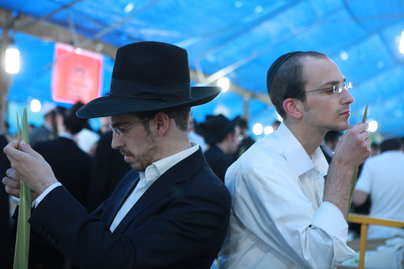 ולקחתם לכם • הירושלמים בחרו ארבעת המינים