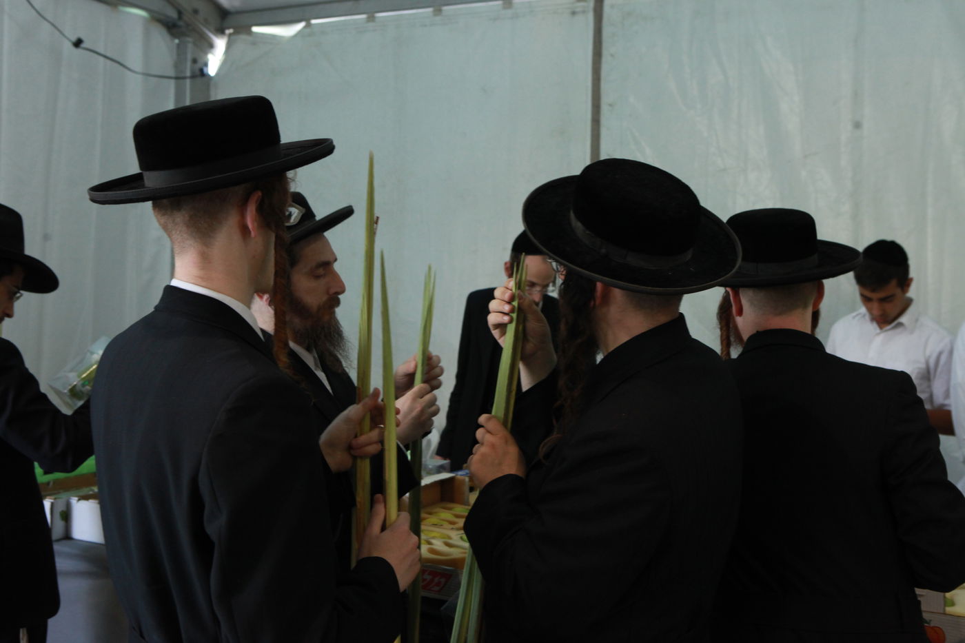 ולקחתם לכם • הירושלמים בחרו ארבעת המינים