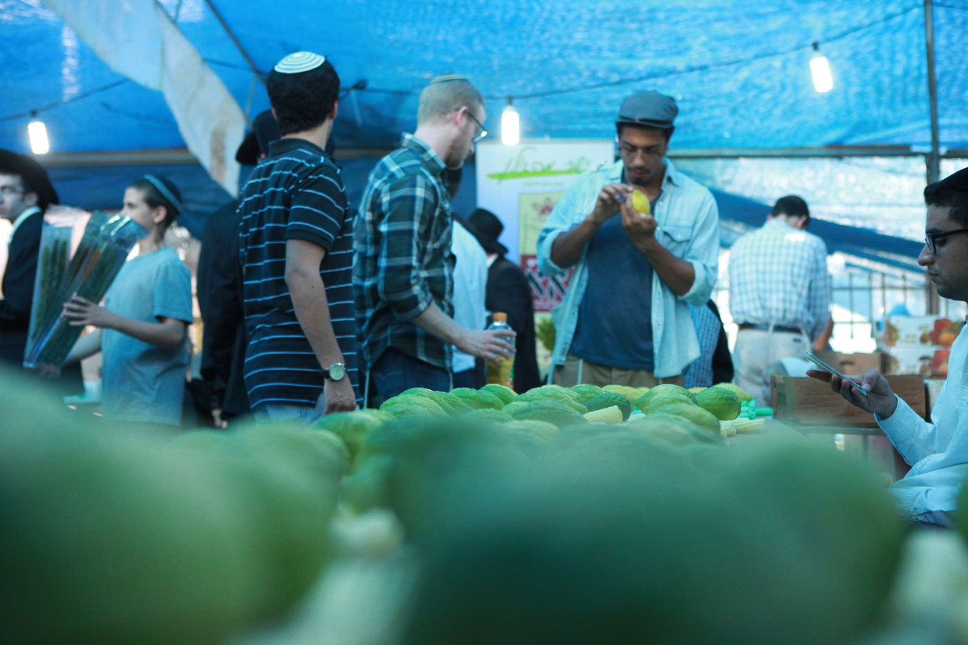 ולקחתם לכם • הירושלמים בחרו ארבעת המינים