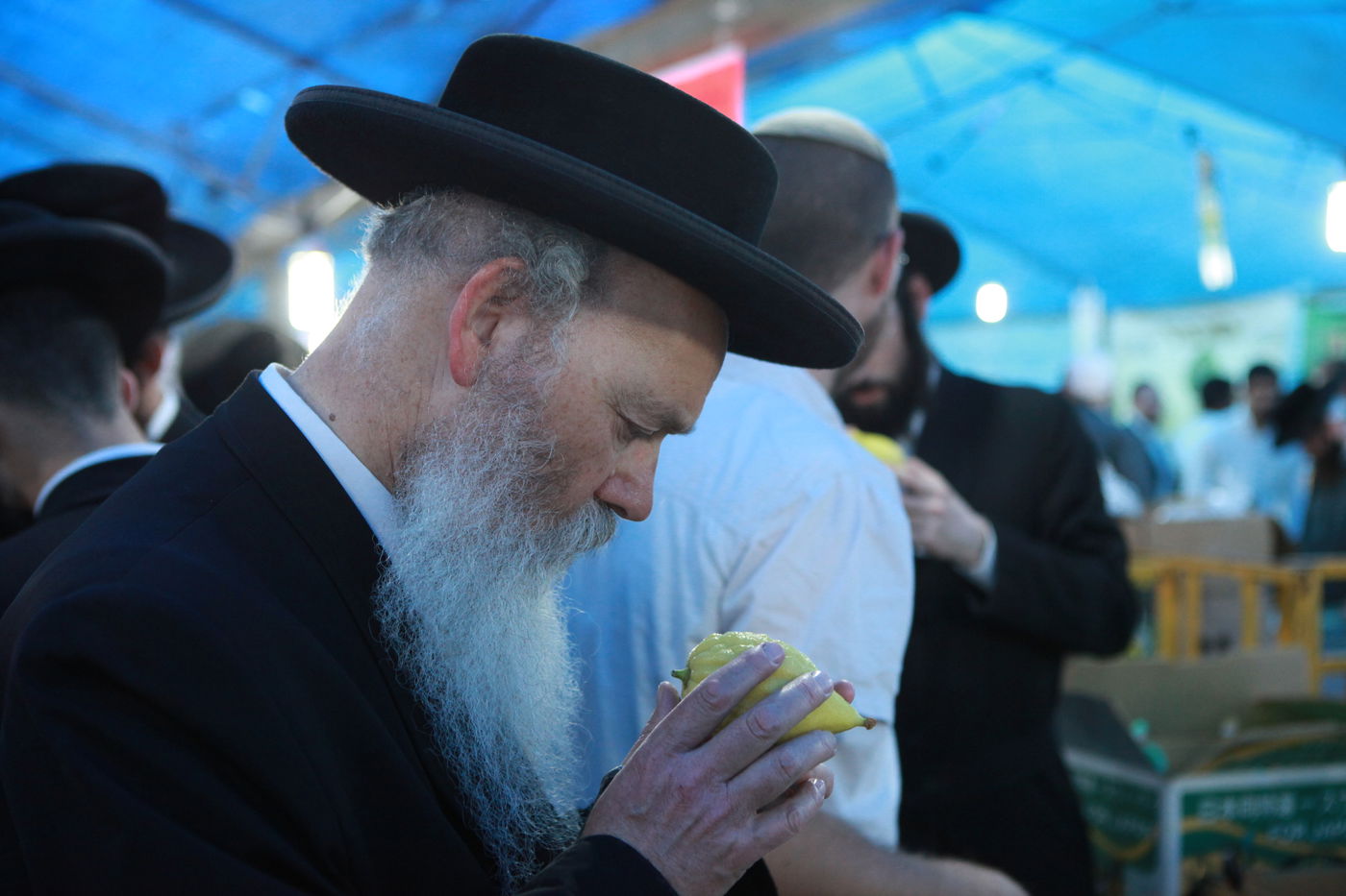ולקחתם לכם • הירושלמים בחרו ארבעת המינים