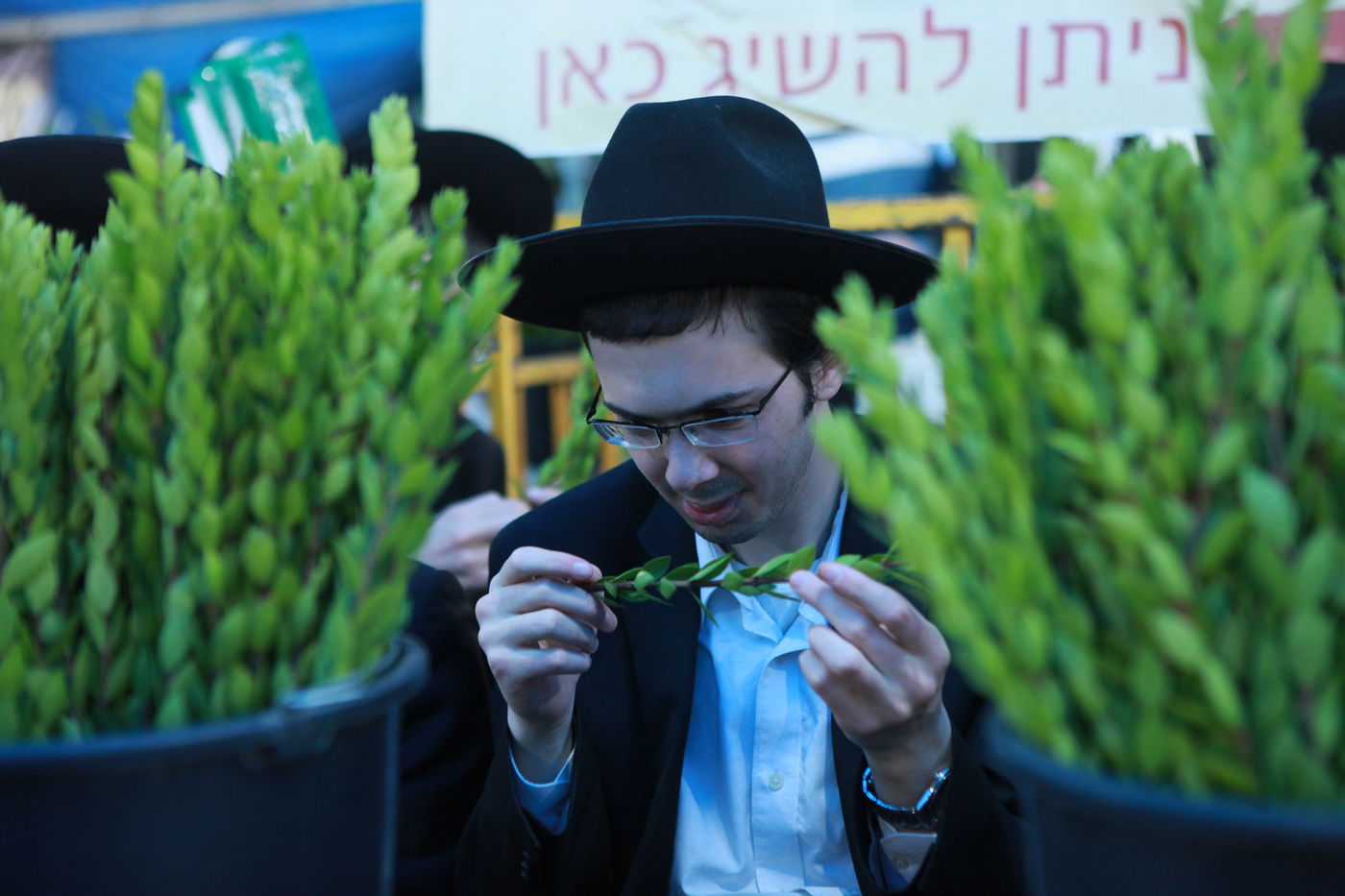 ולקחתם לכם • הירושלמים בחרו ארבעת המינים