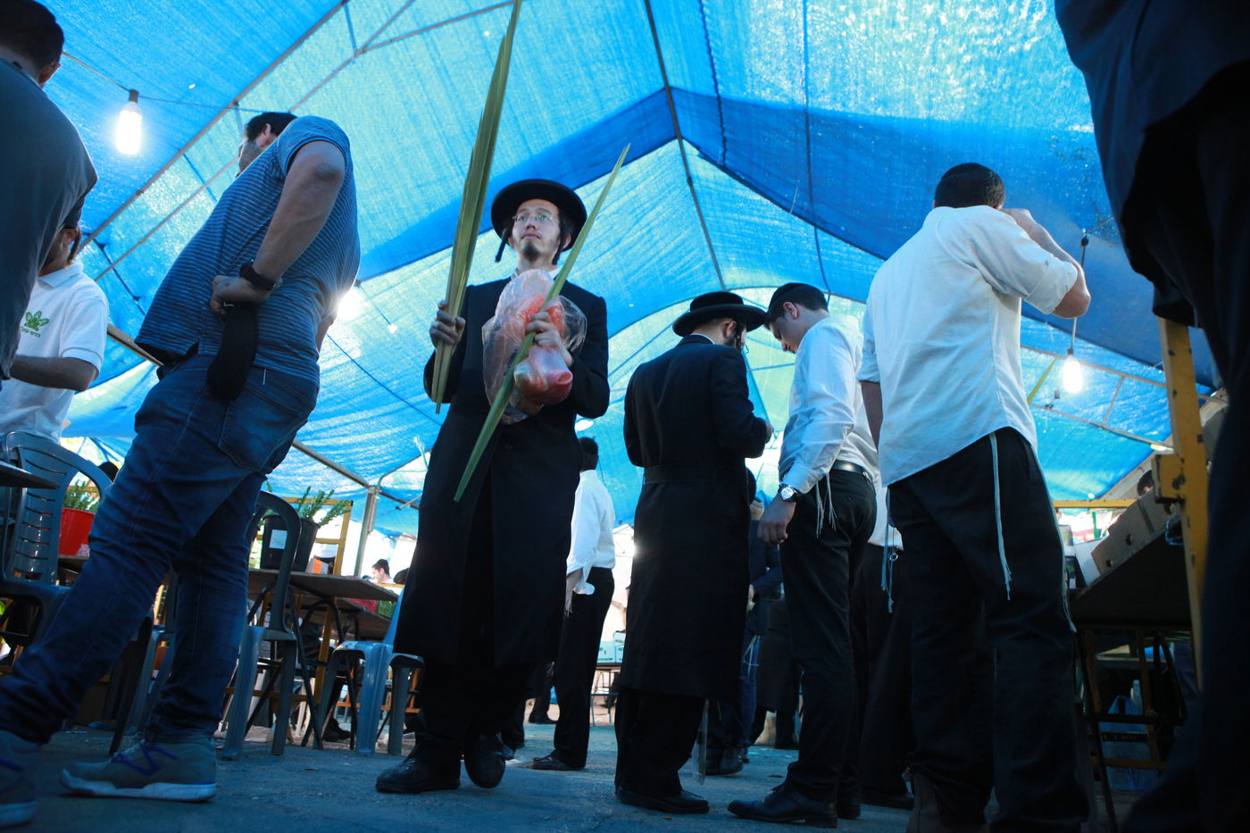 ולקחתם לכם • הירושלמים בחרו ארבעת המינים