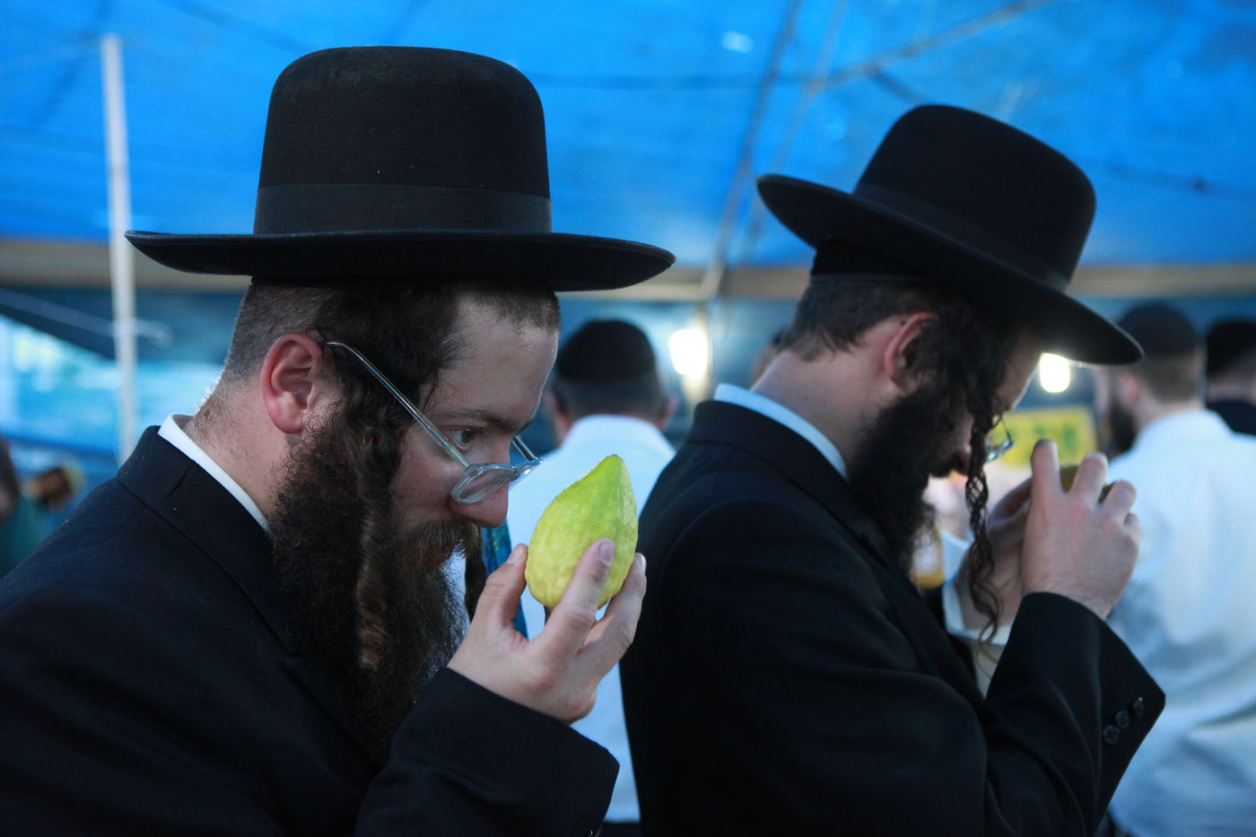 ולקחתם לכם • הירושלמים בחרו ארבעת המינים