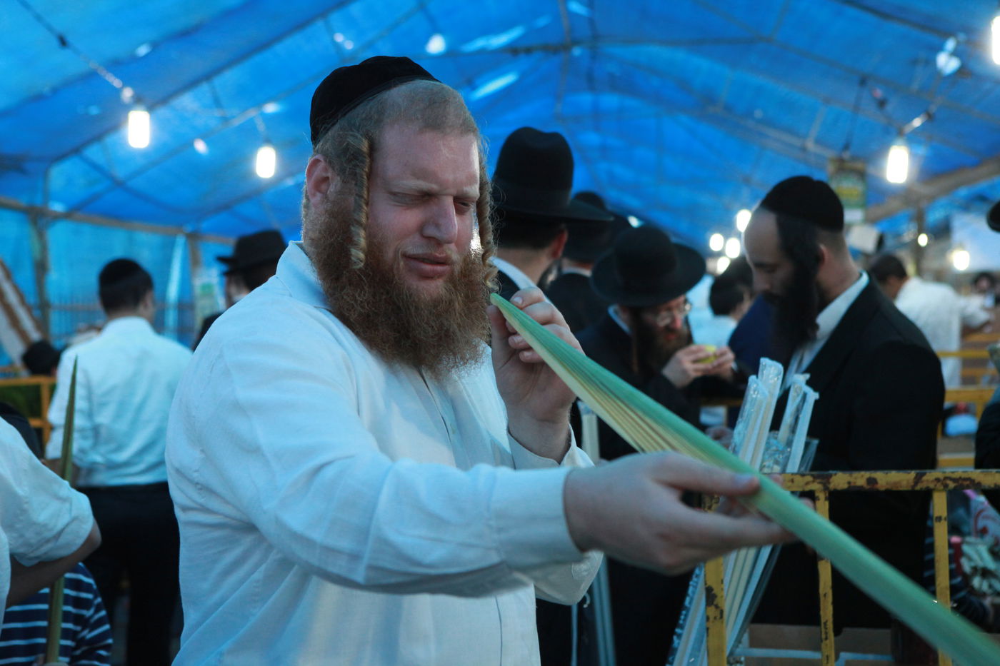 ולקחתם לכם • הירושלמים בחרו ארבעת המינים