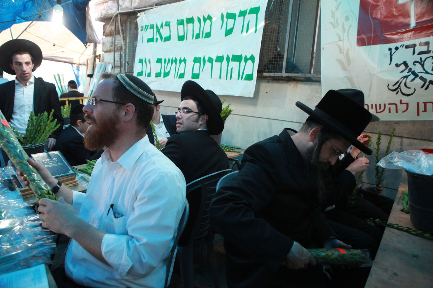 ולקחתם לכם • הירושלמים בחרו ארבעת המינים