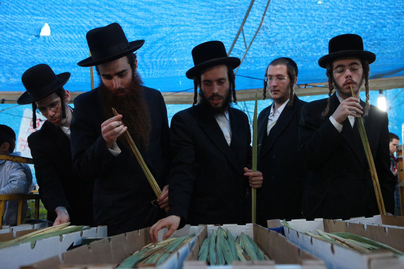 ולקחתם לכם • הירושלמים בחרו ארבעת המינים