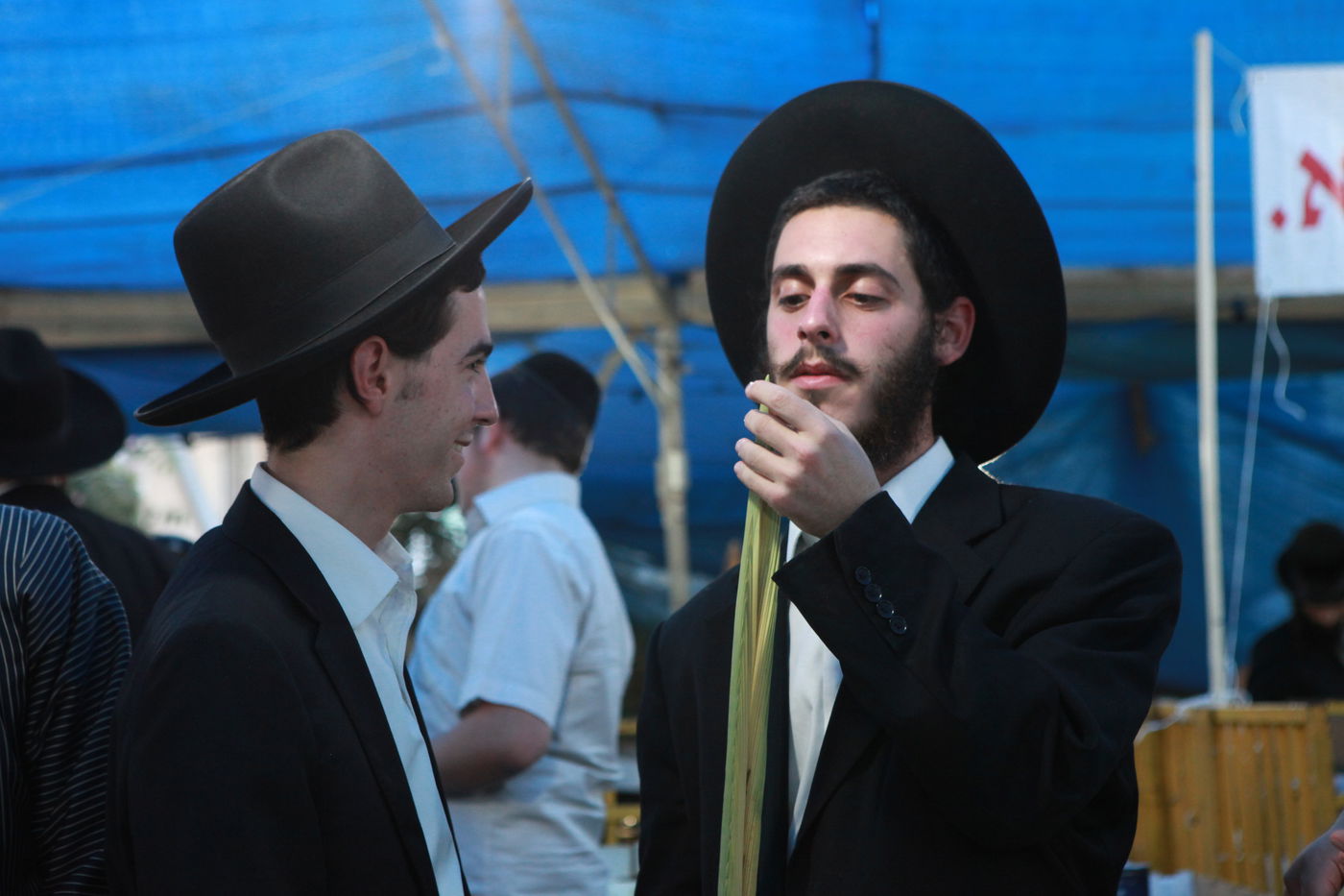 ולקחתם לכם • הירושלמים בחרו ארבעת המינים
