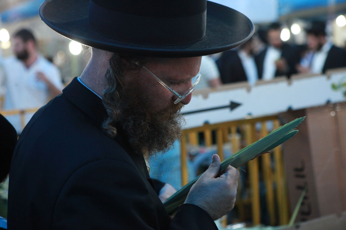 ולקחתם לכם • הירושלמים בחרו ארבעת המינים