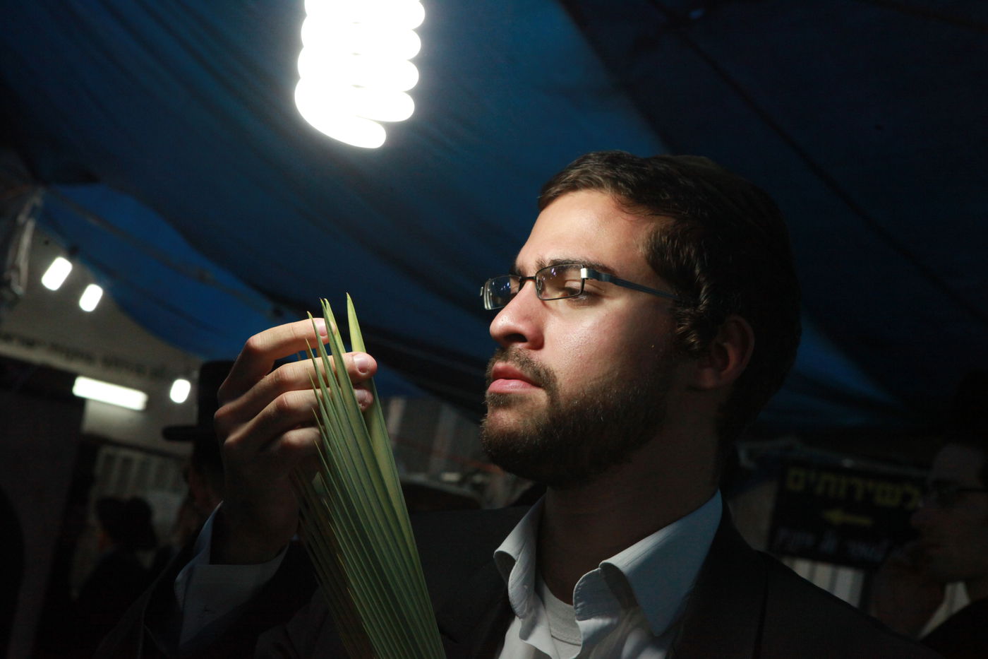 ולקחתם לכם • הירושלמים בחרו ארבעת המינים