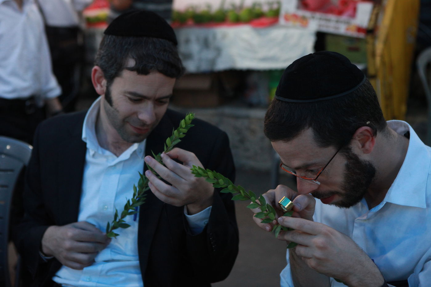 ולקחתם לכם • הירושלמים בחרו ארבעת המינים