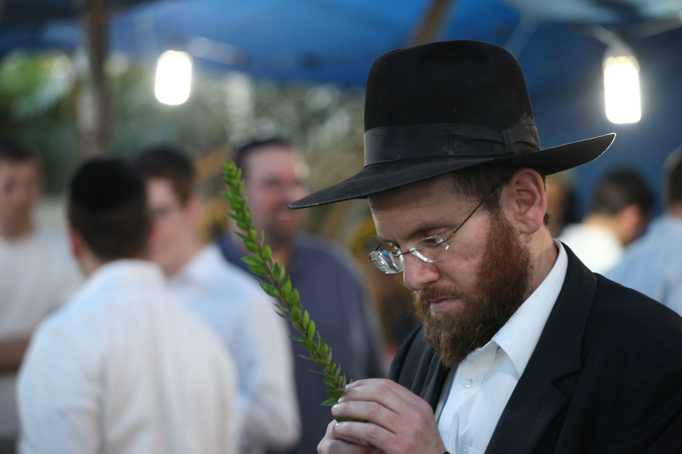 ולקחתם לכם • הירושלמים בחרו ארבעת המינים