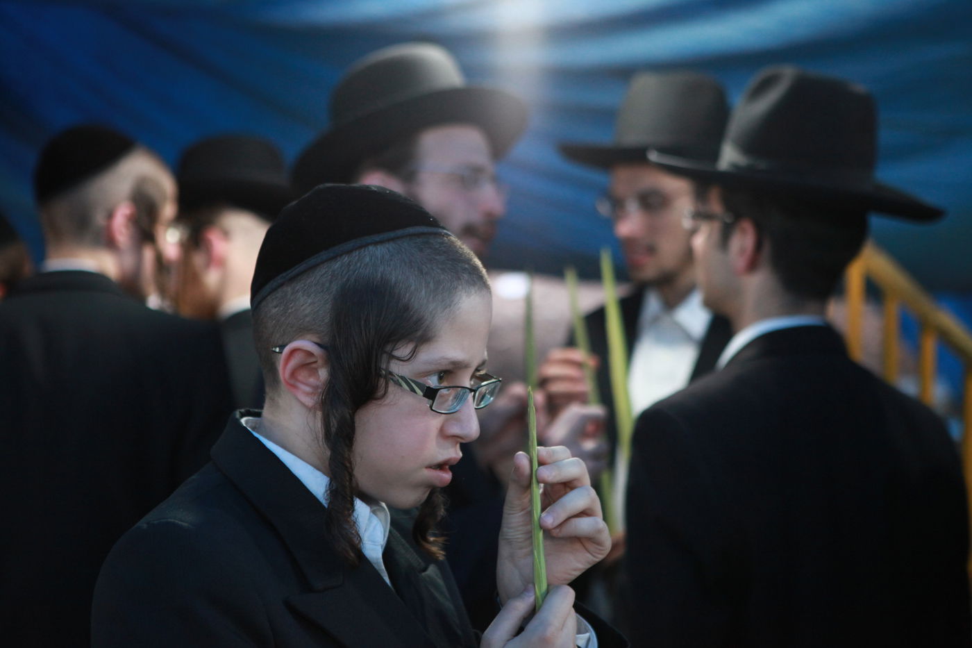 ולקחתם לכם • הירושלמים בחרו ארבעת המינים