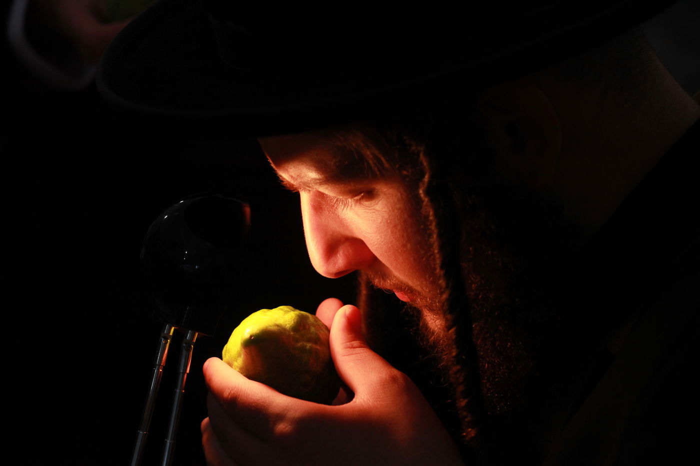 ולקחתם לכם • הירושלמים בחרו ארבעת המינים