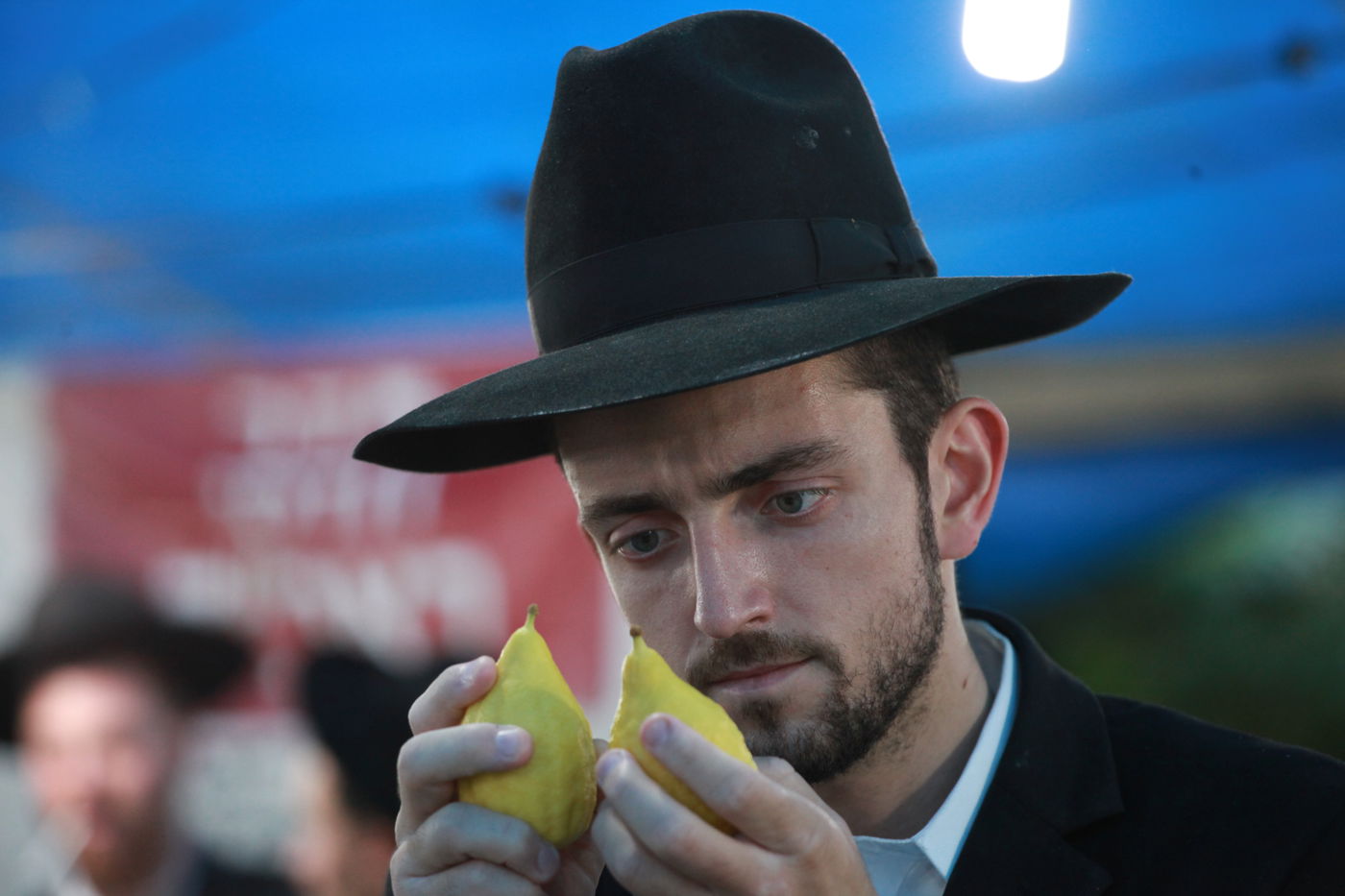 ולקחתם לכם • הירושלמים בחרו ארבעת המינים