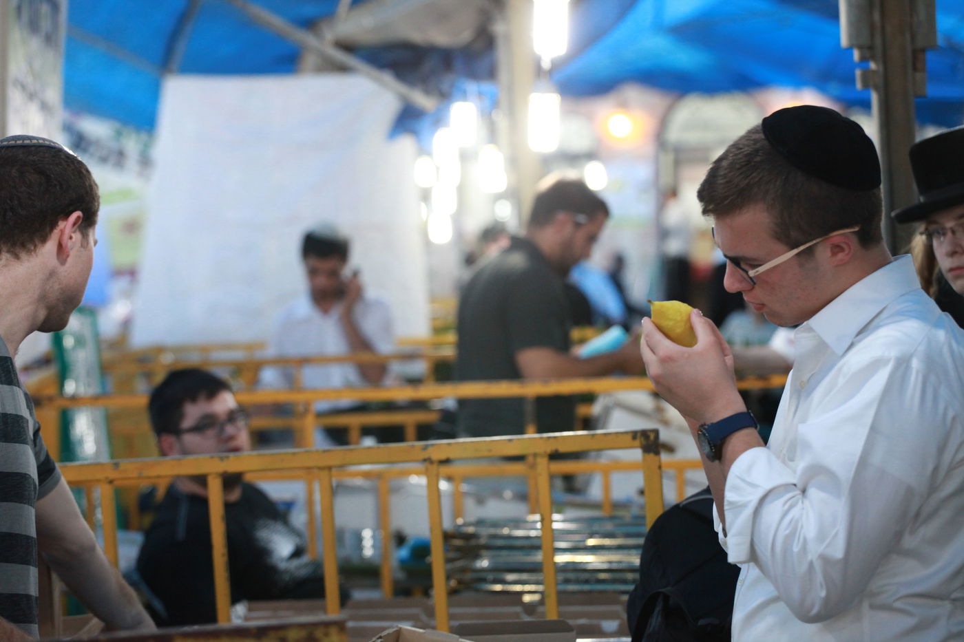 ולקחתם לכם • הירושלמים בחרו ארבעת המינים