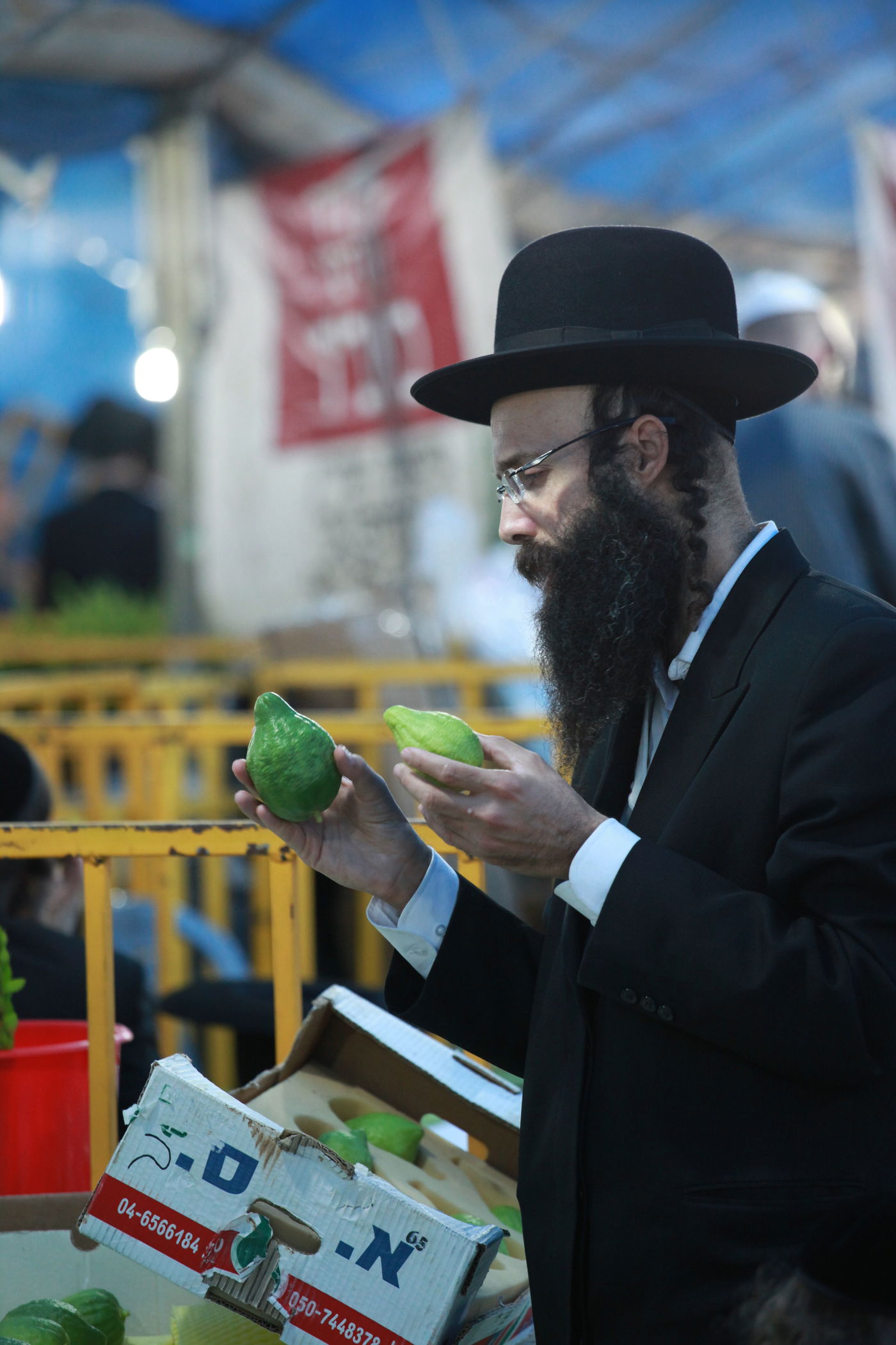 ולקחתם לכם • הירושלמים בחרו ארבעת המינים