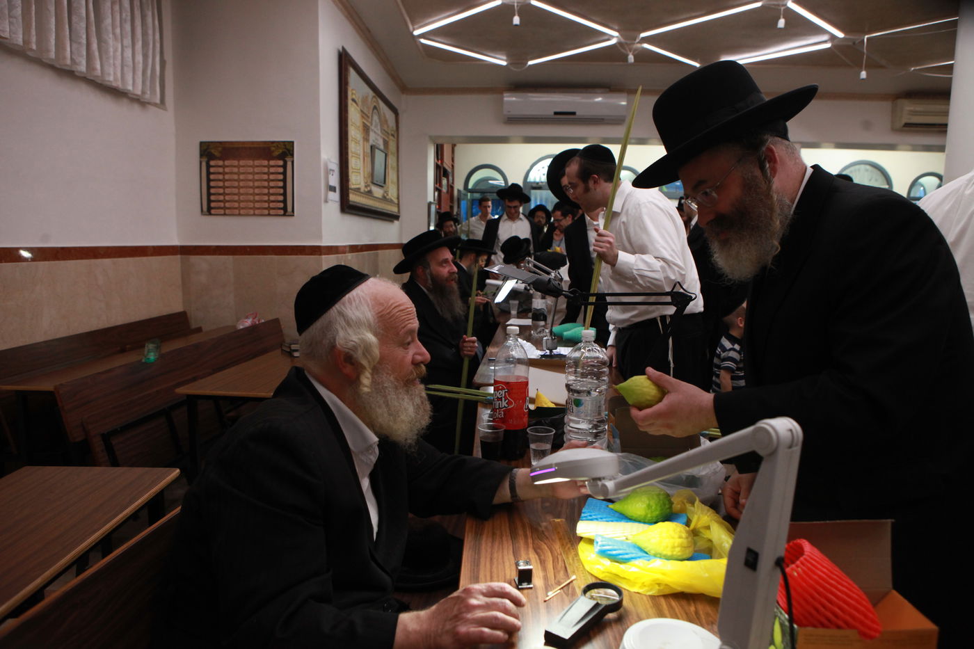 ולקחתם לכם • הירושלמים בחרו ארבעת המינים