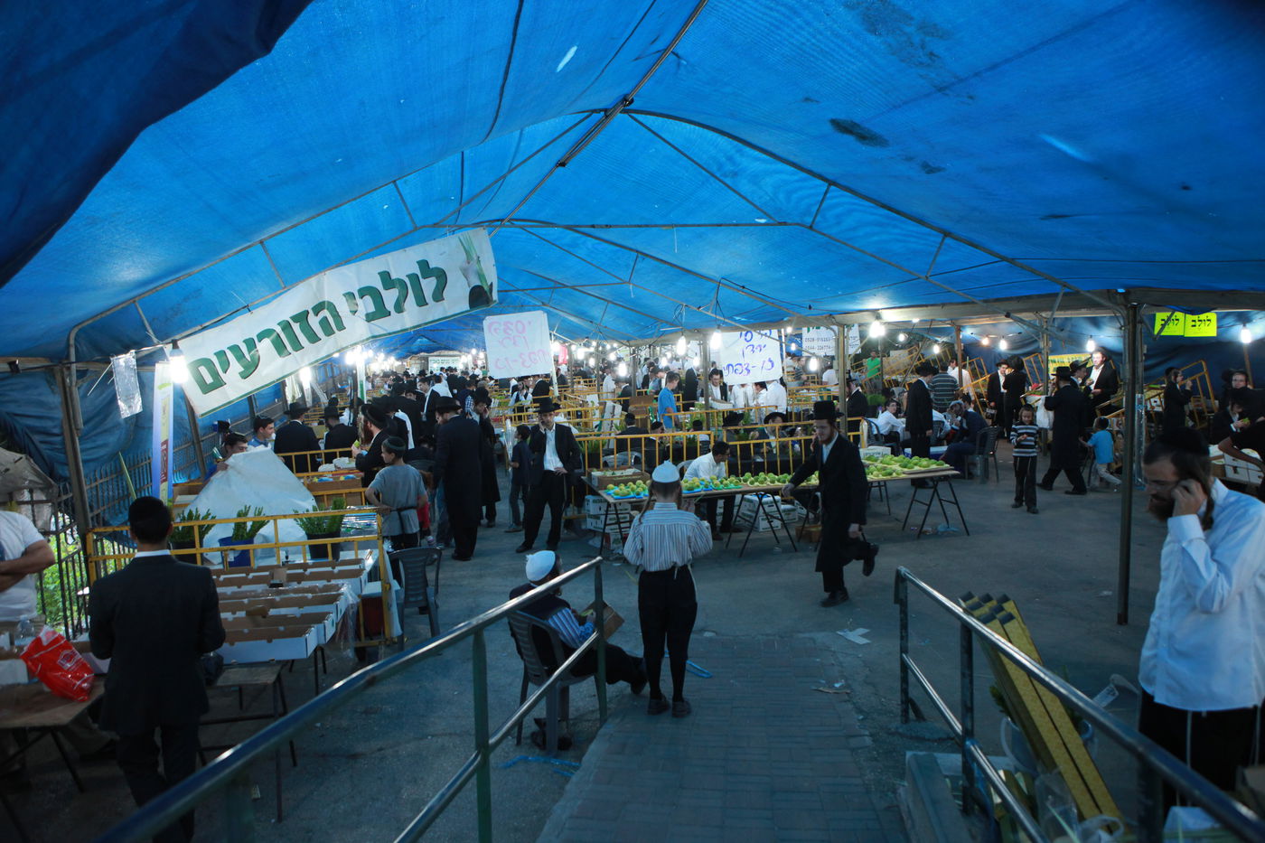 ולקחתם לכם • הירושלמים בחרו ארבעת המינים