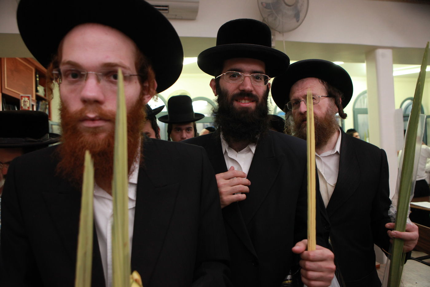 ולקחתם לכם • הירושלמים בחרו ארבעת המינים