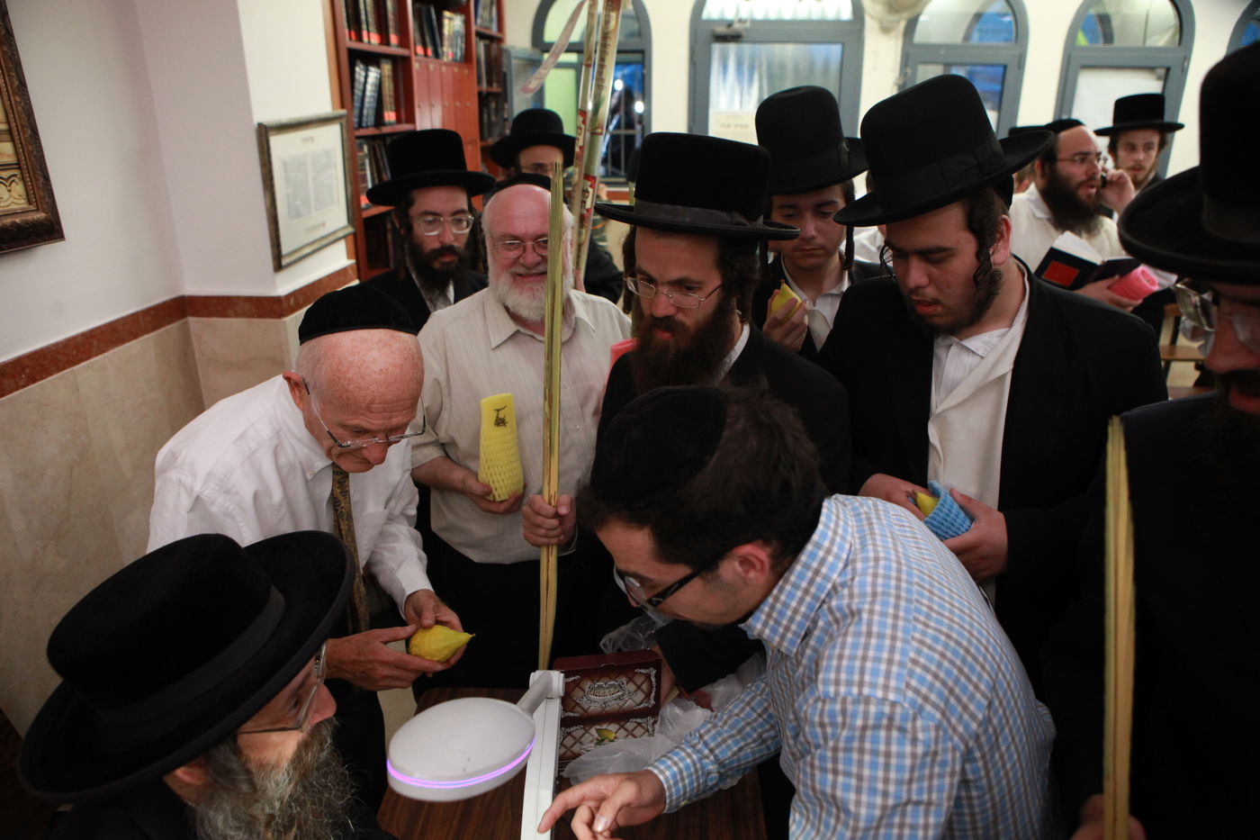 ולקחתם לכם • הירושלמים בחרו ארבעת המינים