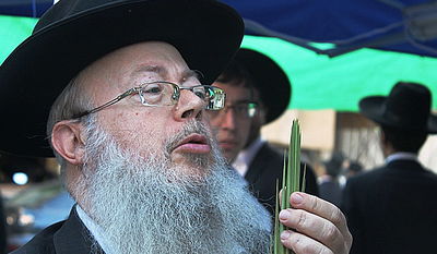 יש לבלוב? • תיעוד משוק ארבעת המינים בבני ברק