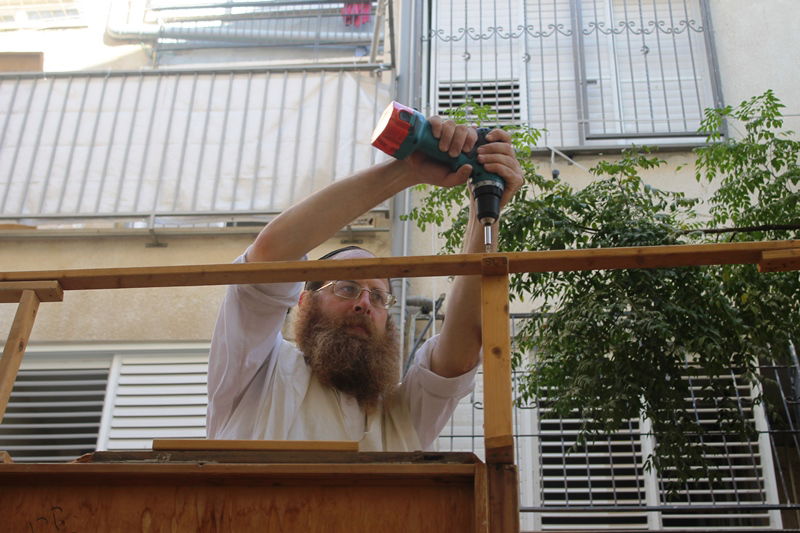 יש לבלוב? • תיעוד משוק ארבעת המינים בבני ברק