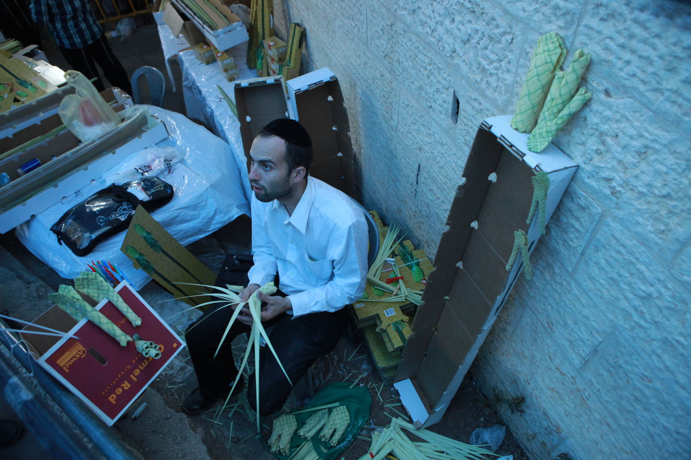 ולקחתם לכם • הירושלמים בחרו ארבעת המינים