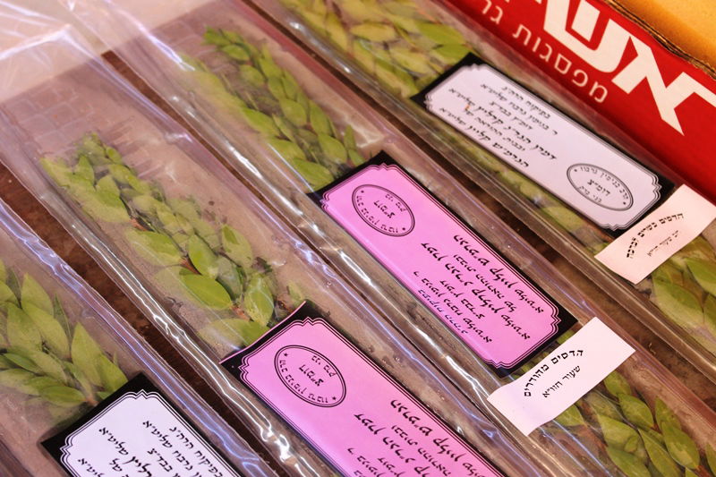 יש לבלוב? • תיעוד משוק ארבעת המינים בבני ברק