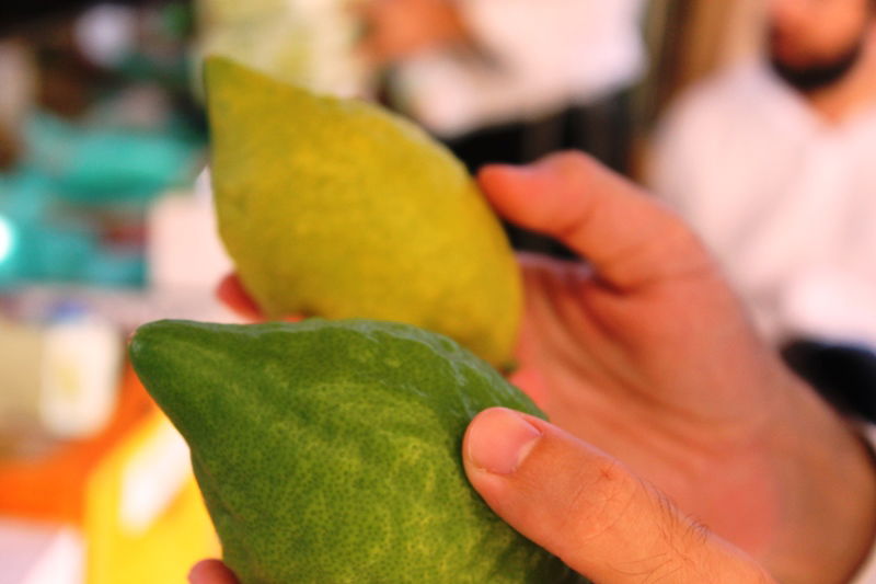 יש לבלוב? • תיעוד משוק ארבעת המינים בבני ברק