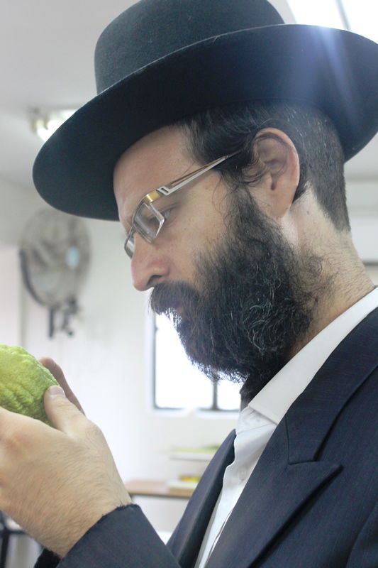 יש לבלוב? • תיעוד משוק ארבעת המינים בבני ברק