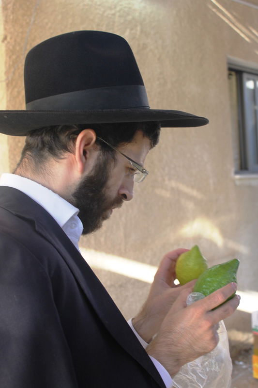 יש לבלוב? • תיעוד משוק ארבעת המינים בבני ברק