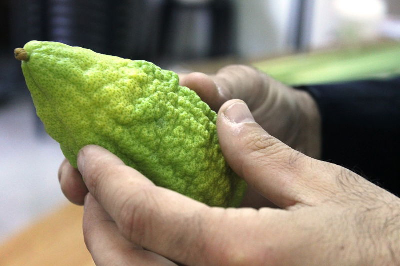 יש לבלוב? • תיעוד משוק ארבעת המינים בבני ברק