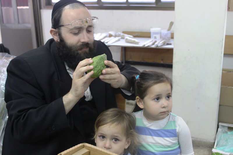 יש לבלוב? • תיעוד משוק ארבעת המינים בבני ברק