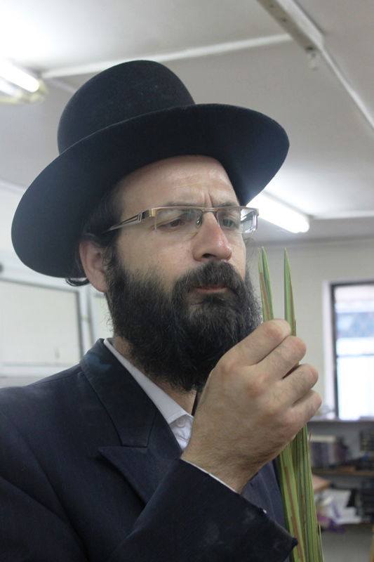 יש לבלוב? • תיעוד משוק ארבעת המינים בבני ברק