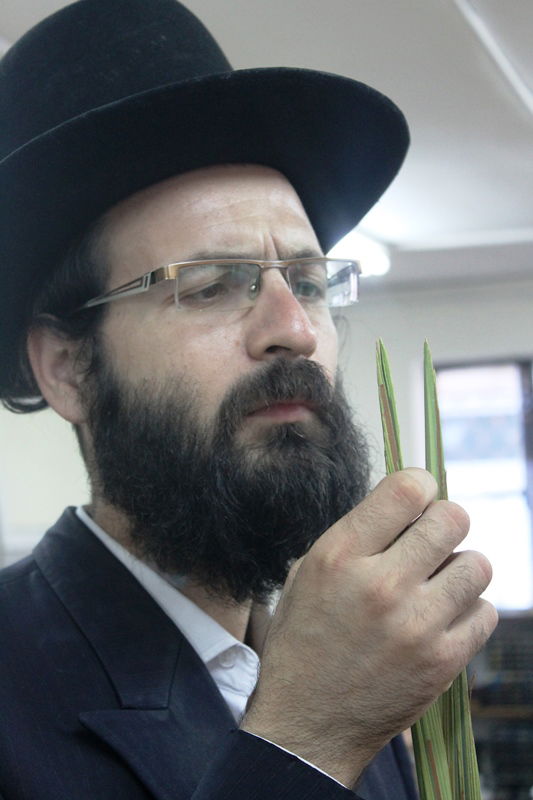 יש לבלוב? • תיעוד משוק ארבעת המינים בבני ברק