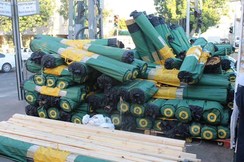 יש לבלוב? • תיעוד משוק ארבעת המינים בבני ברק