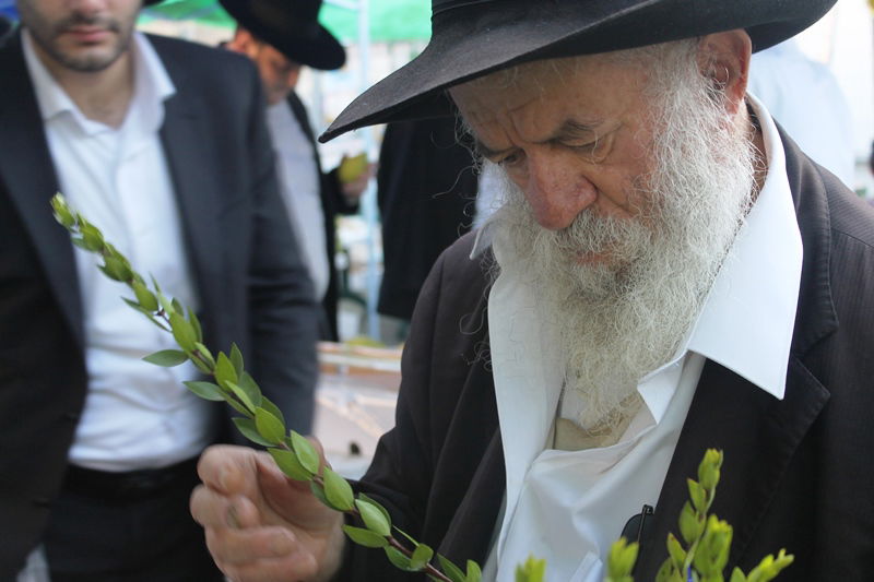 יש לבלוב? • תיעוד משוק ארבעת המינים בבני ברק
