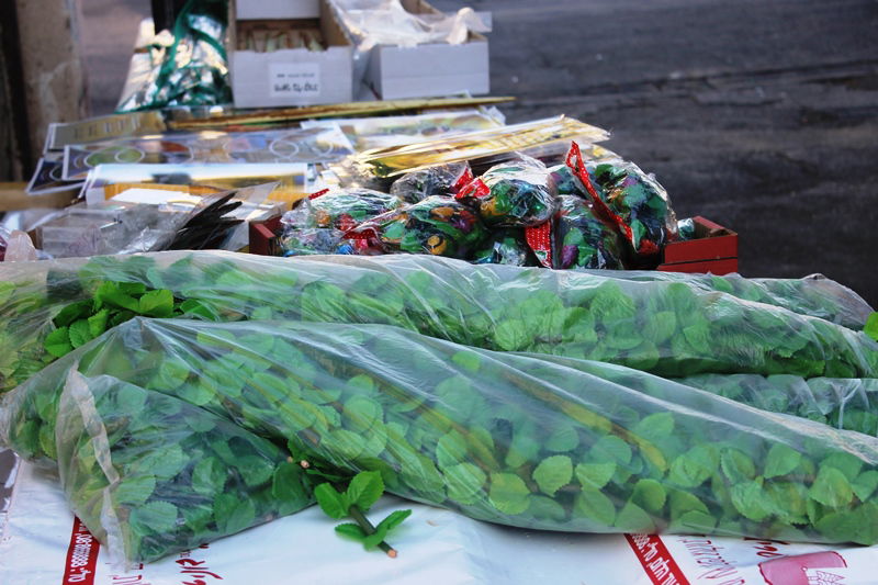 יש לבלוב? • תיעוד משוק ארבעת המינים בבני ברק