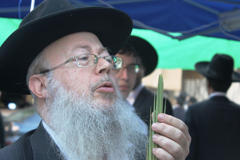 יש לבלוב? • תיעוד משוק ארבעת המינים בבני ברק