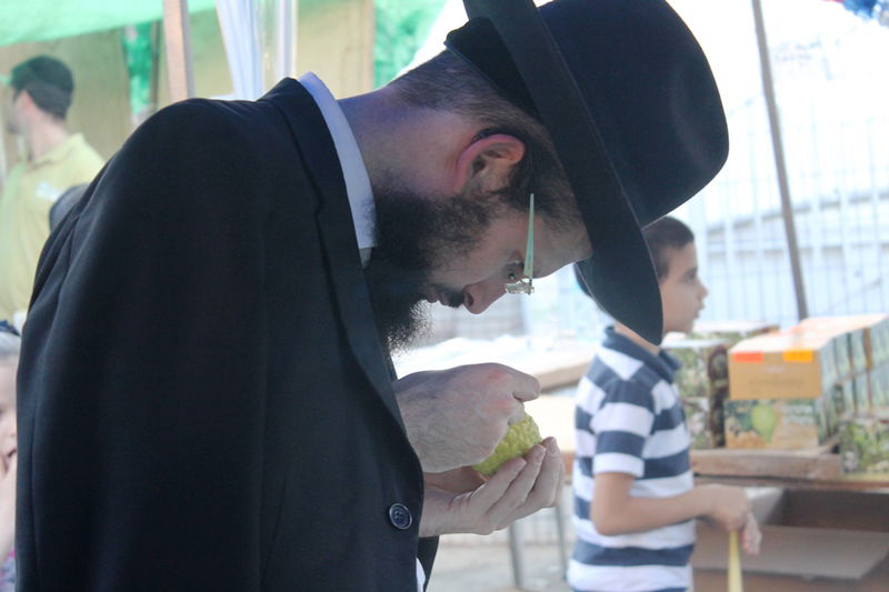 יש לבלוב? • תיעוד משוק ארבעת המינים בבני ברק