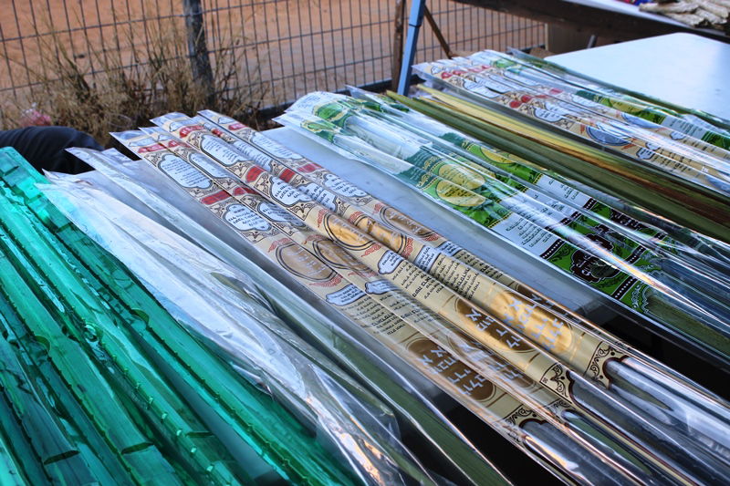 יש לבלוב? • תיעוד משוק ארבעת המינים בבני ברק