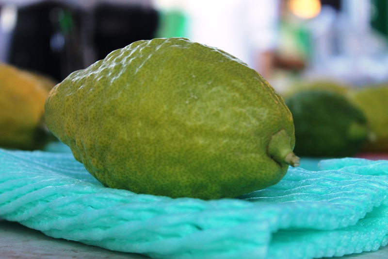 יש לבלוב? • תיעוד משוק ארבעת המינים בבני ברק