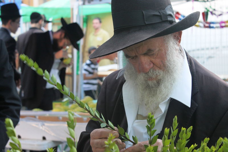 יש לבלוב? • תיעוד משוק ארבעת המינים בבני ברק