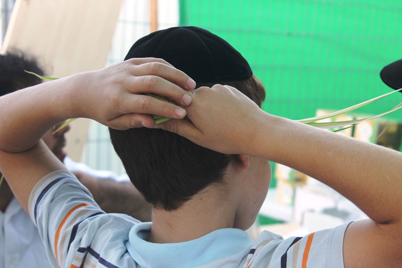 יש לבלוב? • תיעוד משוק ארבעת המינים בבני ברק