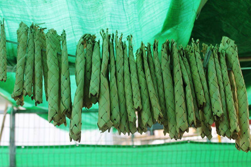 יש לבלוב? • תיעוד משוק ארבעת המינים בבני ברק