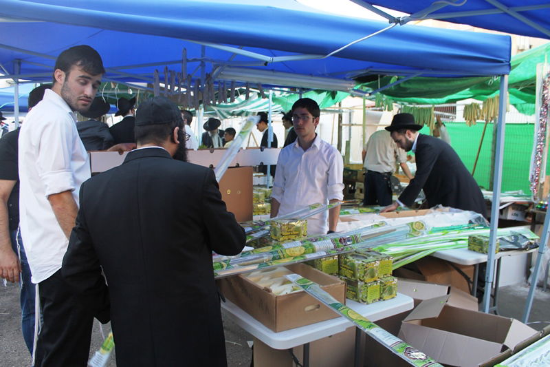 יש לבלוב? • תיעוד משוק ארבעת המינים בבני ברק