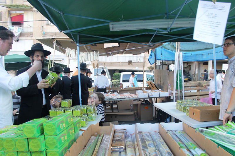 יש לבלוב? • תיעוד משוק ארבעת המינים בבני ברק