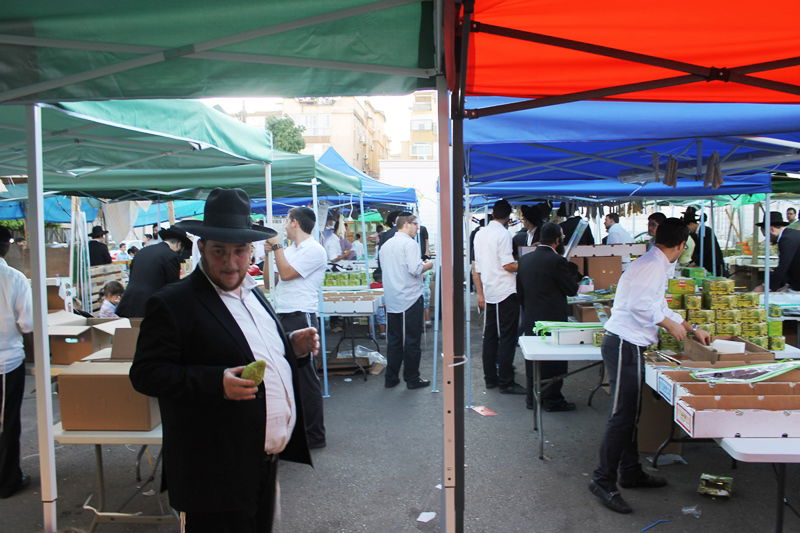 יש לבלוב? • תיעוד משוק ארבעת המינים בבני ברק
